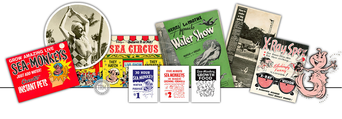 01_HISTORY_Artists_Bio_Henri_c