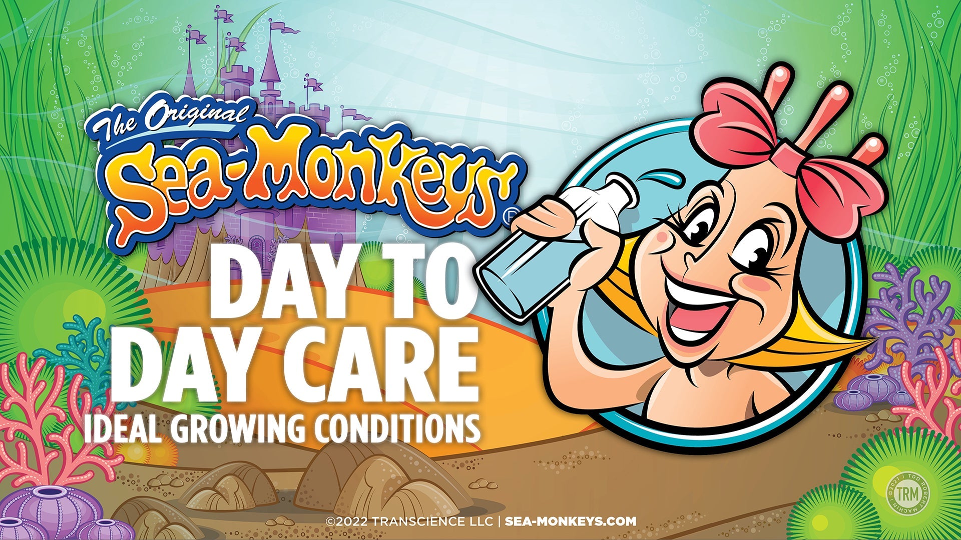 Load video: Sea-monkeys Day-To-Day Care Video