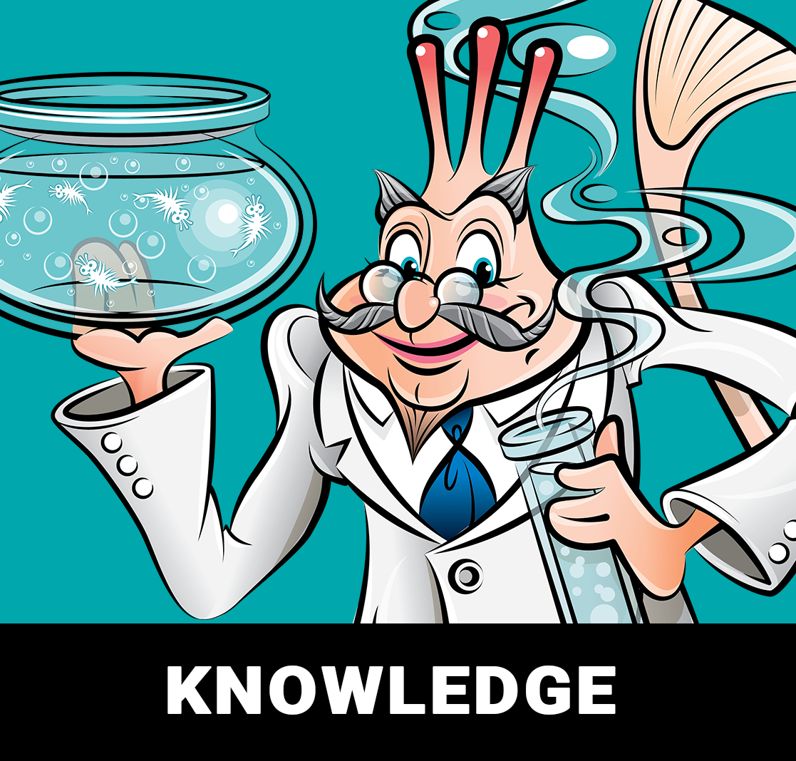 Sea-monkeys – Sea-Monkeys USA