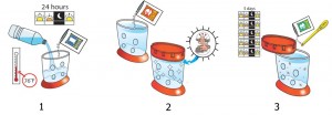 seamonkey water purifier substitute